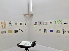IMG_3800.jpeg